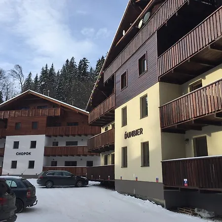 Apartman #11 - Apartmanovy Dom Dumbier - Chopok Juh * Tale